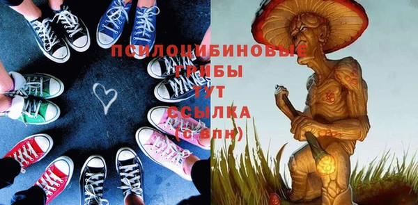 твердый Вязьма