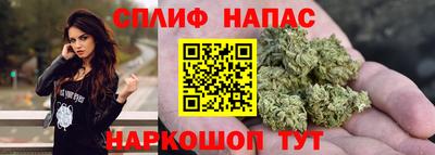 ешки Кингисепп