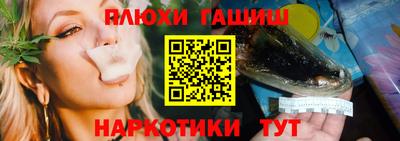 ешки Кингисепп