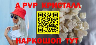 ешки Кингисепп