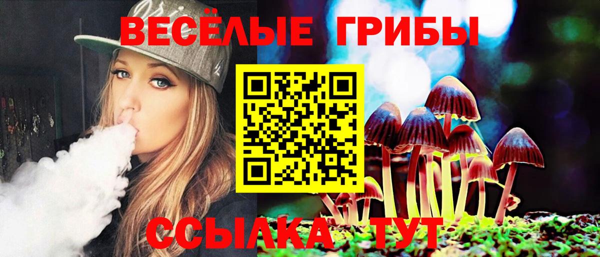 Псилоцибиновые грибы GOLDEN TEACHER Муром